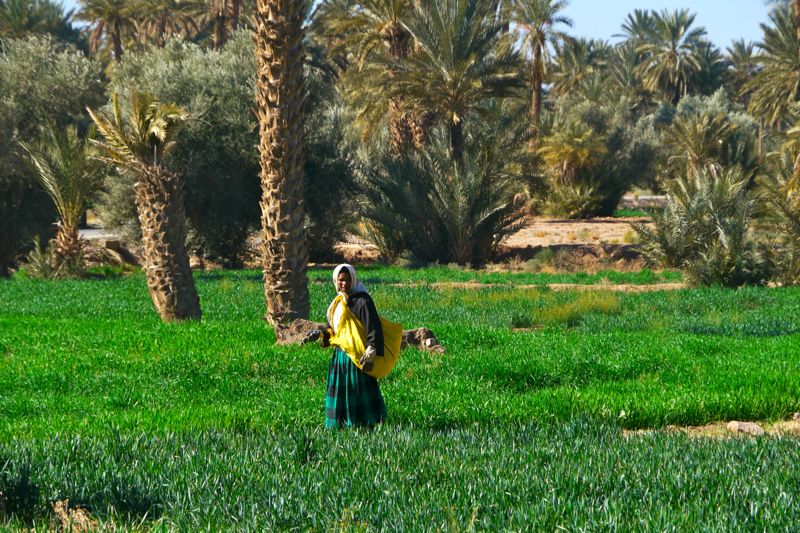 Morocco